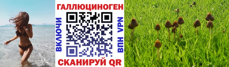 Галлюциногенные грибы Cubensis  Уфа 