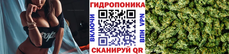 Бошки Шишки сатива где можно купить наркотик Уфа